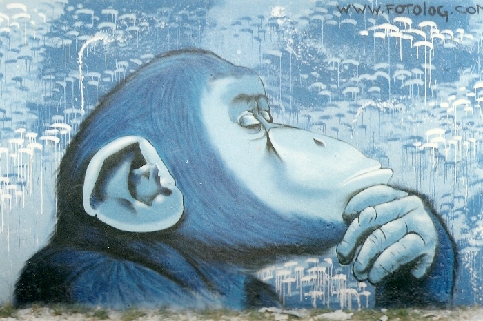 latin america street art monkey graffiti blue buenos aires arte urbano